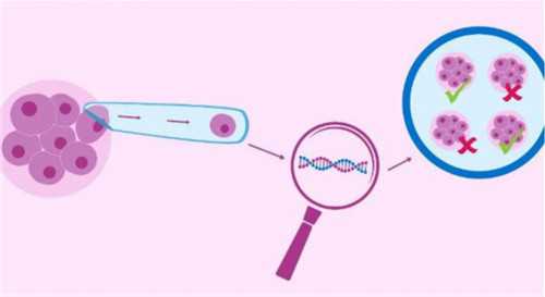 合肥代孕最好的机构|合肥试管婴儿医院排名？在合肥做试管婴儿的成功率高