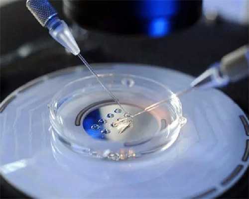 试管婴儿期间饮食并无太多禁忌，但也别太放飞自己