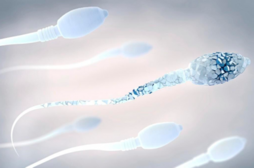 代生攻略_代生孩子价格表|辽宁省试管助孕机构排名榜，仅有3家医院可开展三代