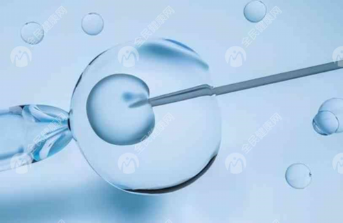 2026年代孕_40几岁供卵成功率|「德州人民医院试管婴儿」准妈妈在孕前吃什么好