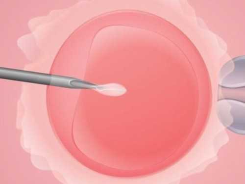 试管宝宝和正常宝宝有啥不同？只有一点不同，你知道是哪一点吗？