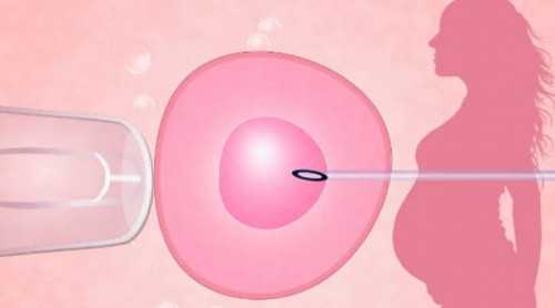 自然代怀孕案例_代怀机构合法吗_三明市试管婴儿医院成功率排名最新