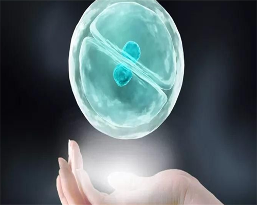 南昌试管供卵要多少费用 2026南昌助孕供卵成功率选择指南 ‘营口伊人26周四维