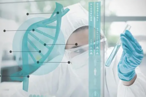 合肥现在可以做代孕吗 合肥人工受孕医院推荐 ‘男孩36+6彩超单子图片’