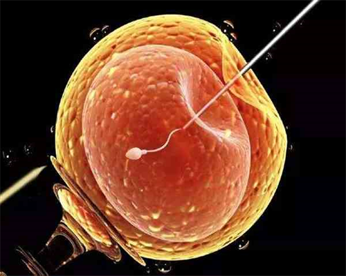 2026代妈价格_三代试管适应症色盲_深圳供卵试管中介有哪些 深圳试管婴儿备孕