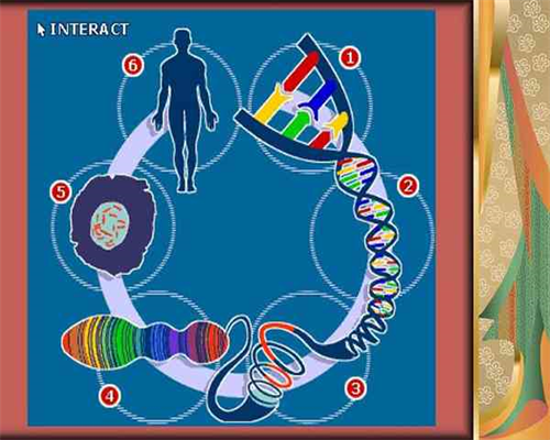 合肥代孕一般价钱 合肥试管婴儿图喜得儿试管成功率高么?合肥哪个医院做试