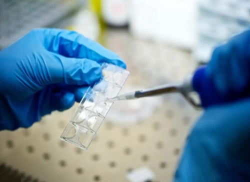 代怀中介怎么样_包成功代怀孕网_试管知识：周口三代试管多少钱.