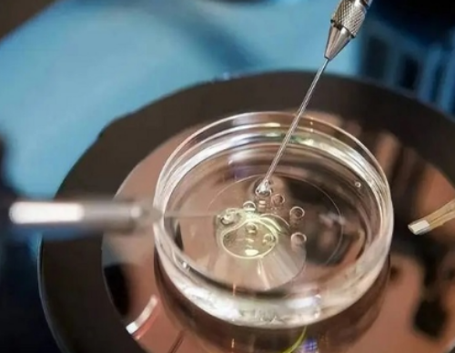 三代供卵试管婴儿_2026自然代妈|丽江到甘美医院做试管婴儿怎么样?费用or成功