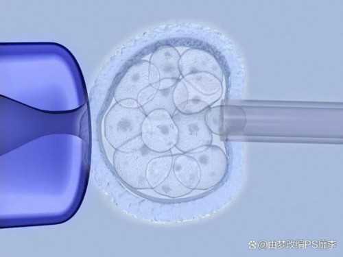 保定妇幼保健院生殖中心可以做供卵试管婴儿吗?成功率高吗?