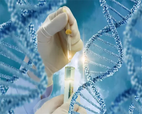 中泰代生机构_365国际助孕公司|盘锦中心医院生殖科做试管婴儿的流程是什么样