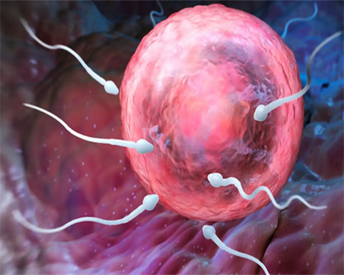 贝康医疗(2170.HK)：七普后的优生优育需求 辅助生殖基因检测如何满足？_5z617