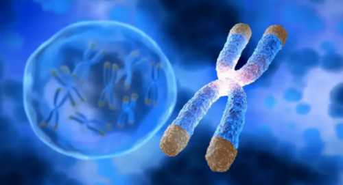 合肥代怀孕官网|合肥供卵试管三代生男孩价格