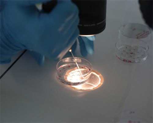 代生妇公司_代生大概多少钱|石家庄龙凤胎试管要多少费用_正规试管助孕机构