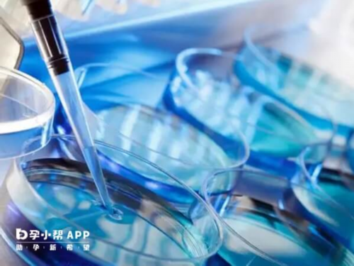 aa69吕进峰官网_30万找私人孕妈|鹰潭试管婴儿攻略:试管前为什么要检查染色体