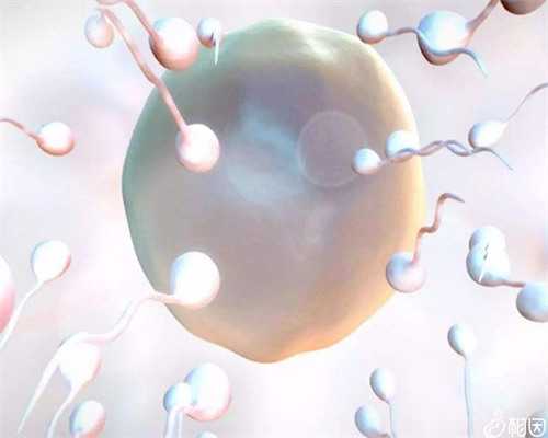 合肥做代孕哪个好 合肥做试管婴儿的医院 ‘女孩的孕囊是什么形状的’