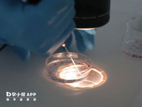 合肥做代孕需多少钱|合肥安医大试管婴儿的成功率是多少