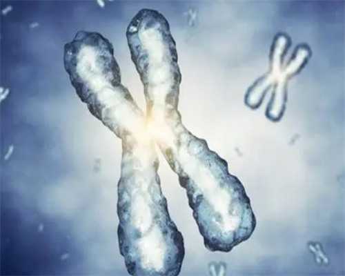 中泰代生咨询集团_代生包成功|云南省第一人民医院做试管婴儿要多少钱，202