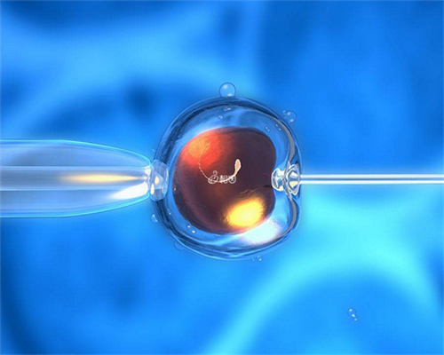 2026供卵_世纪供卵试管_云南正规招捐卵 云南省楚雄市供卵试管成功率 ‘32周双