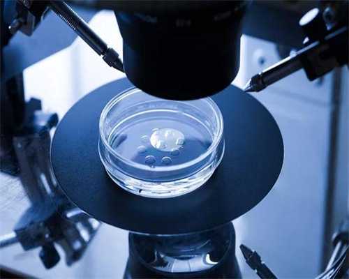 昆明哪个生殖科医生做试管婴儿好?黄荣芳主任怎么样?_v1067