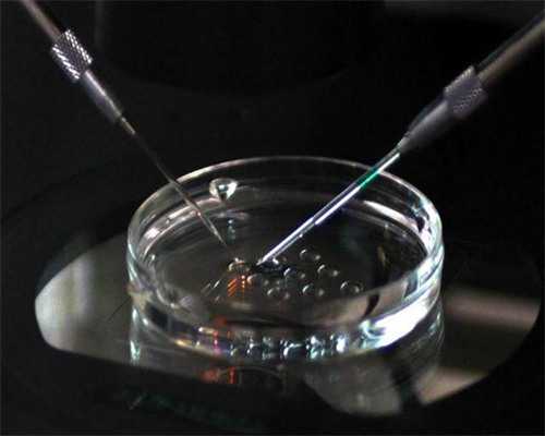 月经期是什么期卵泡期吗