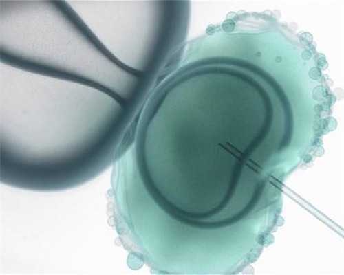 aa69公司地址_三代试管成功率高吗|衢州本地医院做一次三代试管婴儿费用大约多