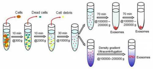 代生子价格找女生_代妈代生选性别|云南试管婴儿纳入医保了吗？附云南试管婴