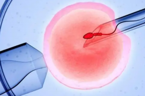 2026年岳阳试管婴儿医院成功率排名是怎么样的?