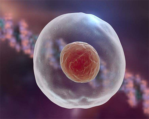 合肥代孕中介有那几个 2026合肥第三代试管婴儿医院推荐：安徽省立医院 ‘三维