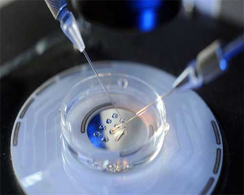 什么是试管婴儿?什么是代孕?在我国合法吗?