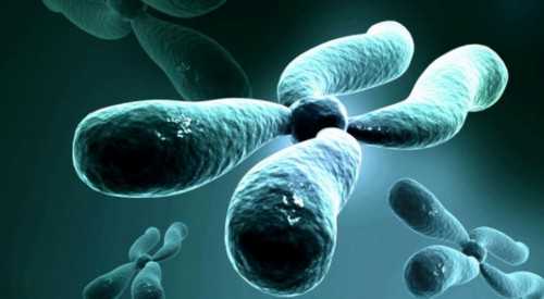 代孕合肥代生小孩 合肥做试管婴儿比较好的医院有哪些? ‘营口伊人26周四维看