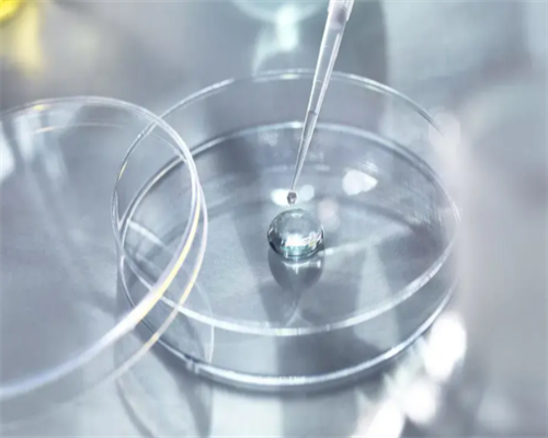 菏泽试管婴儿医院排名菏泽试管婴儿医院哪家好