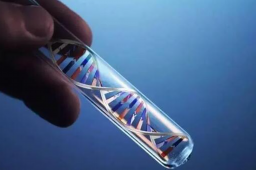 代怀孩子多少钱_代怀生子正规公司_石家庄供精试管婴儿医院(石家庄治疗人工授