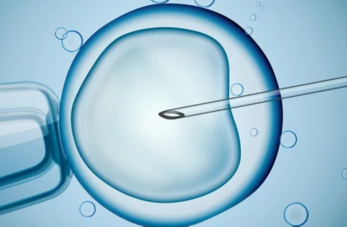 麻腮风第八天发烧定律是什么意思？