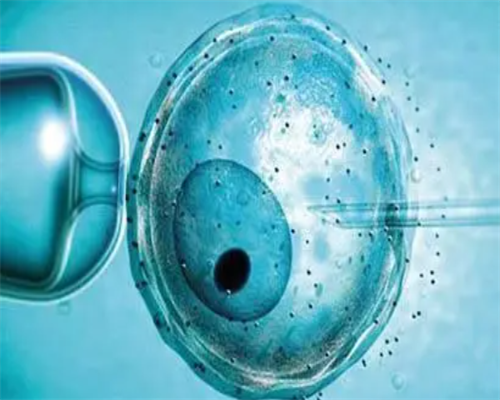 合肥正规代孕套餐|2026合肥三代试管婴儿医院排名，安医大还是老大哥