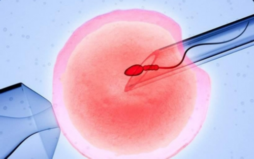 代怀孕的权威机构_代怀孕急救小游戏_2026年宜昌市第一人民医院试管婴儿生男孩