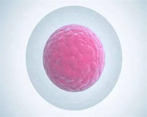 合肥试管婴儿成功率高吗？合肥做试管婴儿价格