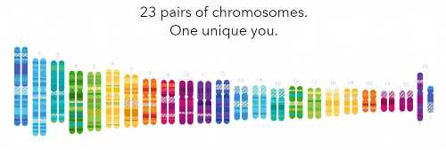 合法代怀孕产子_代怀推荐_试管婴儿长方案是怎么操作的?