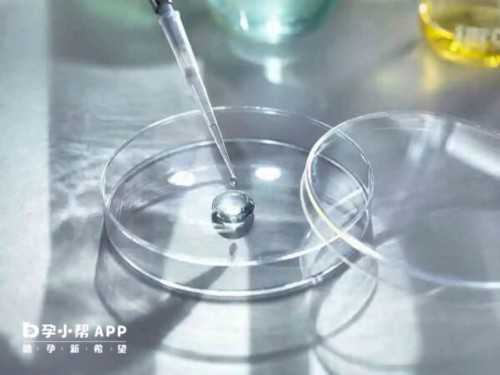 合肥代孕过程 合肥做试管婴儿的医院 ‘怀男孩的四维彩超影像图’