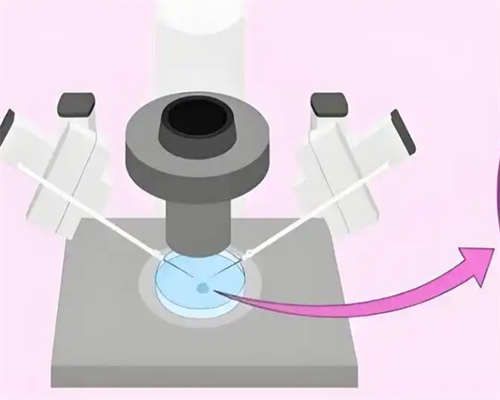 南昌代孕对身体好吗 南昌一附院做试管婴儿检测多少钱? ‘b超如何测男女’