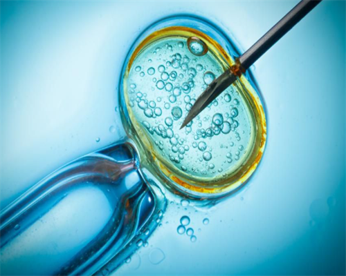 代怀孕那家好_哪家机构代怀_在外地没建档可以做免费产检查血常规尿常规吗?