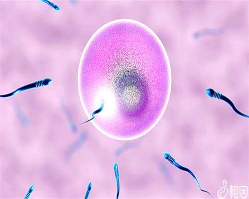 每天吃4粒乐宫宝对试管婴儿移植有什么作用？