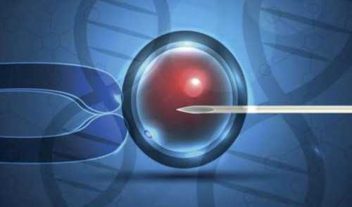 三代试管包性别华诚_2026代生_江苏做试管代孕的年龄 2026江苏省妇幼保健院做供