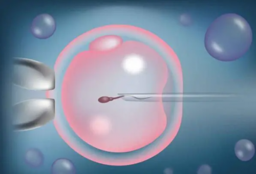 365助孕计划_代妈怎么样|妊娠率or活产率，关于“试管婴儿成功率”辽源姐妹多