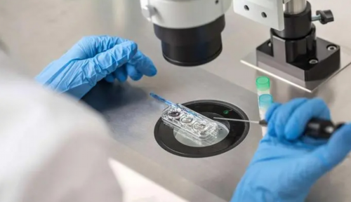 试管婴儿或者代孕的孕妈妈为什么会去做亲子鉴定?