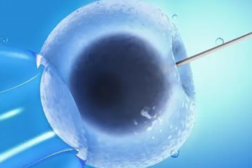 二代供卵试管_A89国际助孕|重磅！龙岩市第一医院生殖医学中心“试管婴儿”技