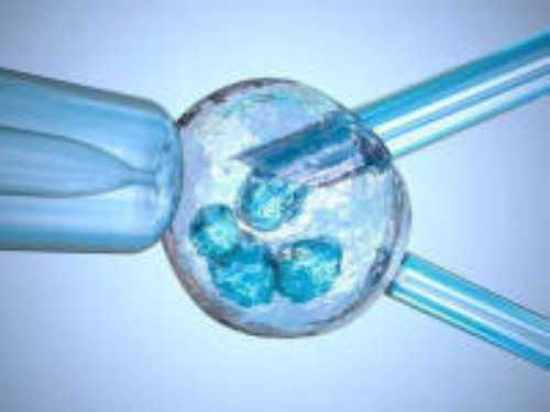 专业供卵价格表_2026世纪代妈|2026乐清试管婴儿医院大全，本地11家助孕机构排名