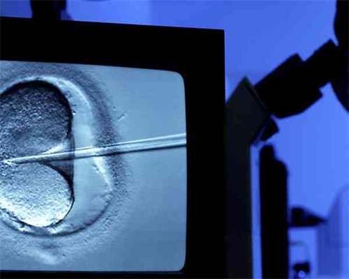 60岁高龄生下双胞胎女儿 盛海琳失独再育这10年