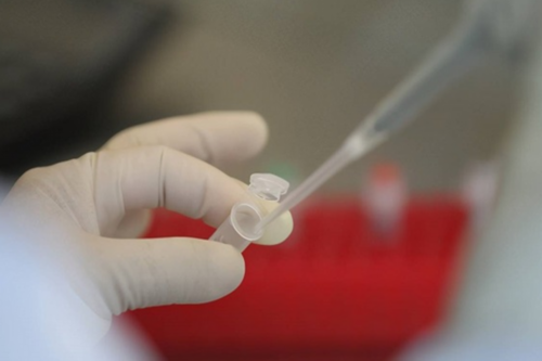 试管婴儿养囊的级别试管婴儿的几率高不高