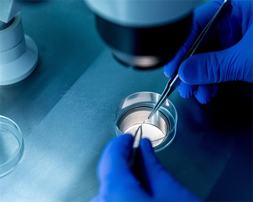 孕妇可以吃皮皮虾吗 应该注意哪些事项_X82fm