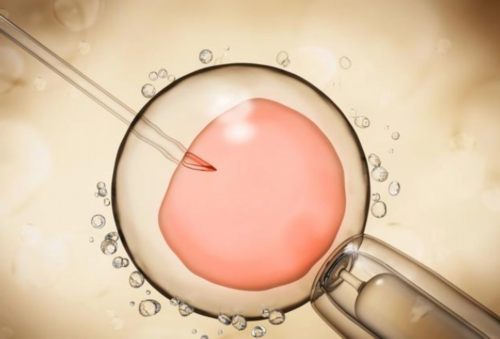 安徽助孕价格,安徽代生男孩,安徽代生妈妈,安徽植发哪家医院好？安徽鹏程医院